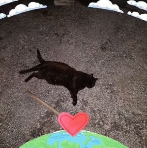 Meet your Posher, Jade